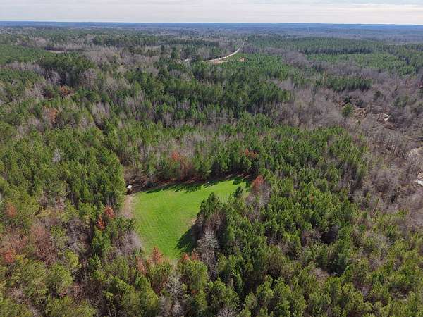 20 Acres of Land for Sale in Lisman, Alabama