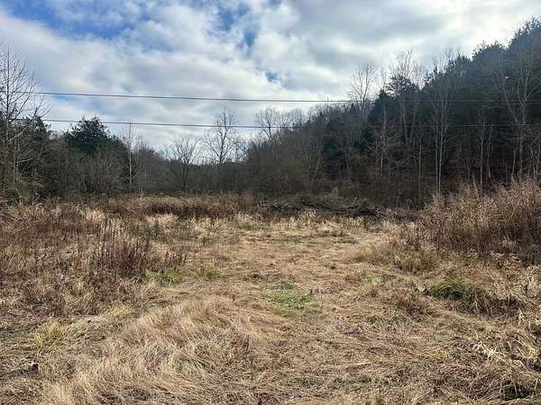 109 Acres of Land for Sale in Burkesville, Kentucky