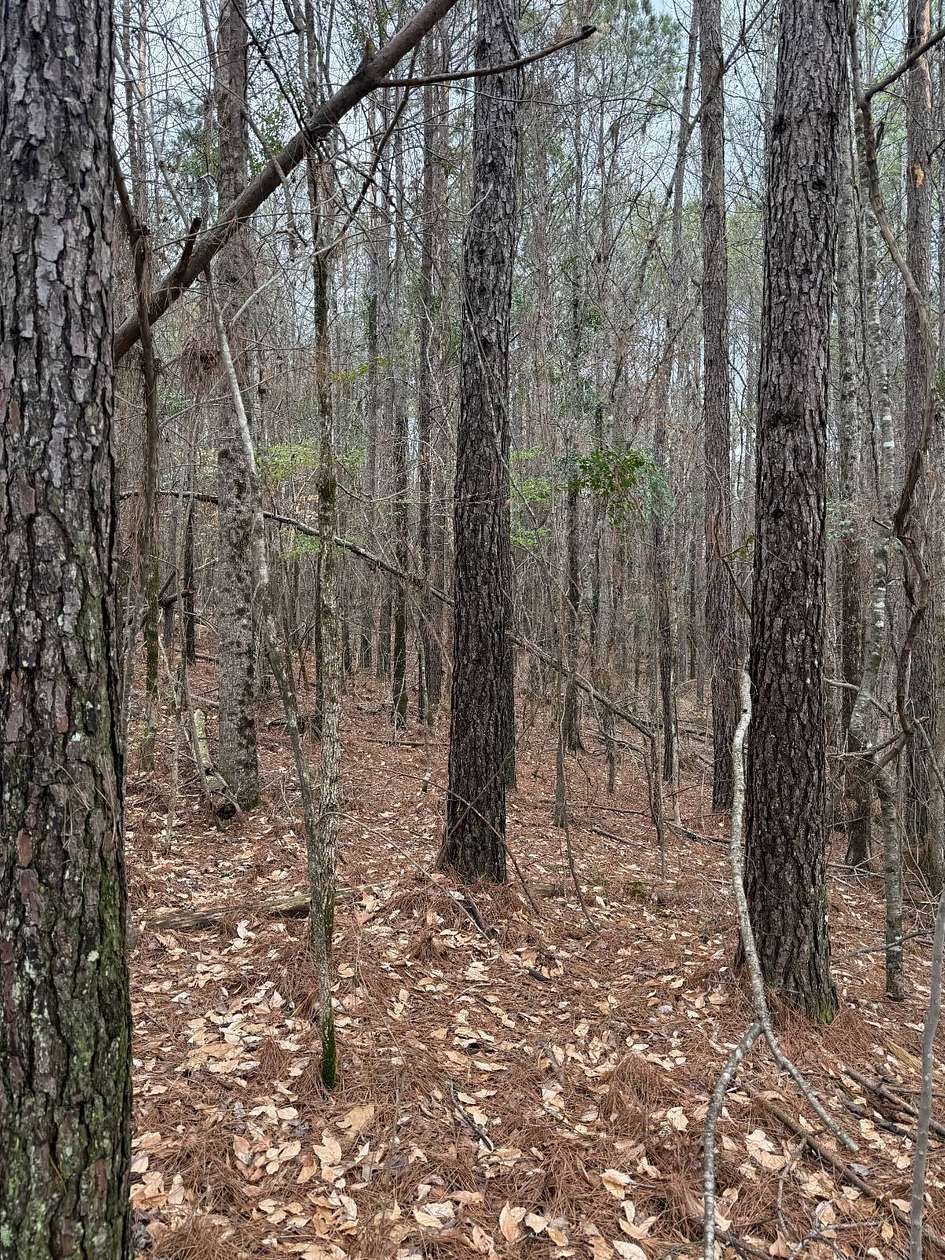 7.2 Acres of Residential Land for Sale in Ackerman, Mississippi
