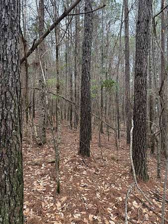 7.2 Acres of Residential Land for Sale in Ackerman, Mississippi