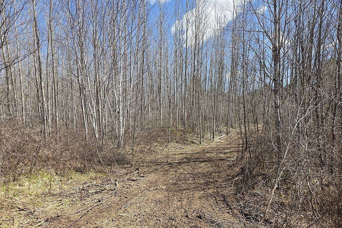 10 Acres of Recreational & Residential Land for Sale in Tomahawk, Wisconsin