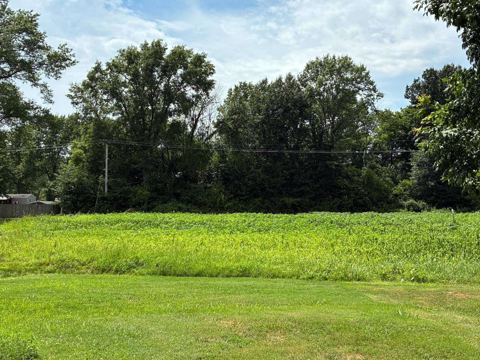 0.5 Acres of Land for Sale in Bridgeport, Illinois