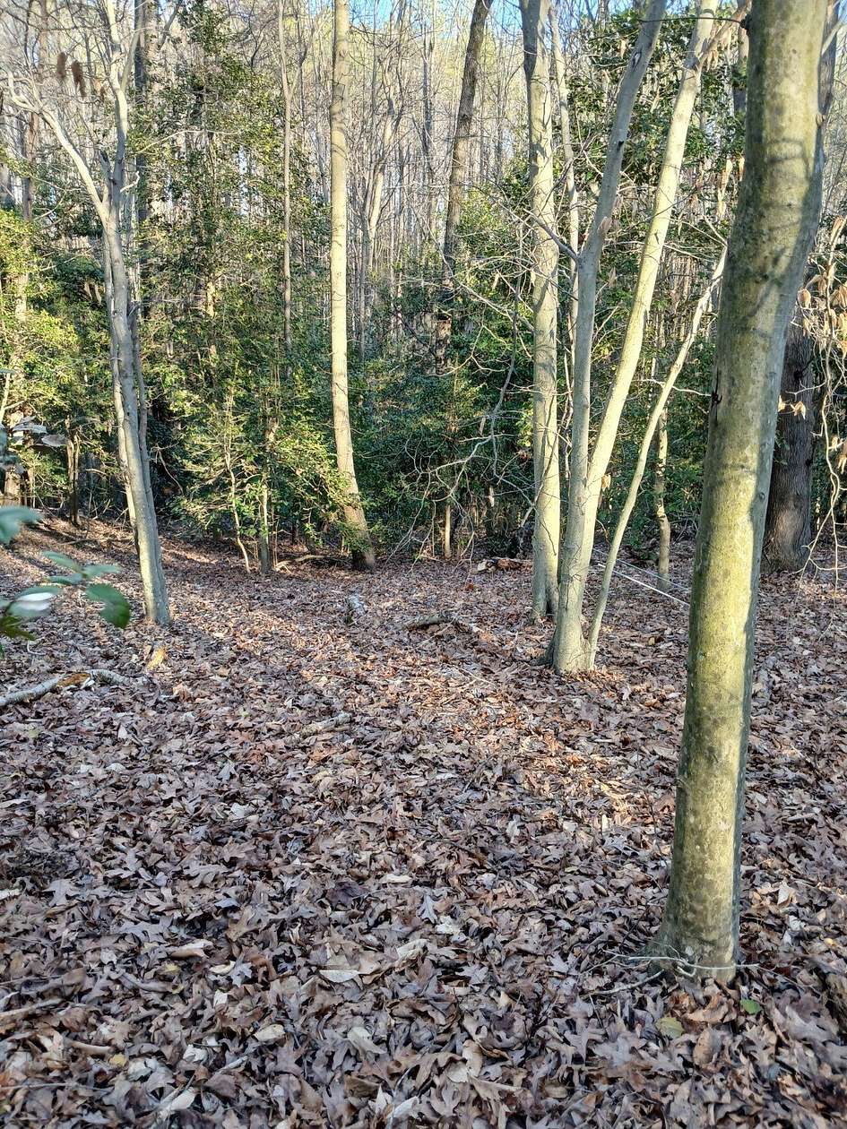 7 Acres of Land for Sale in Caret, Virginia