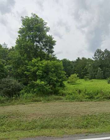 65 Acres of Recreational Land for Sale in Prattsville, New York