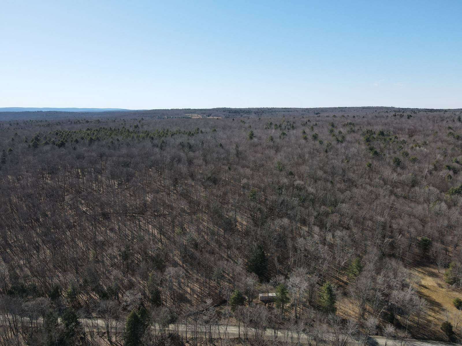122 Acres of Recreational & Residential Land for Sale in Schenevus, New York
