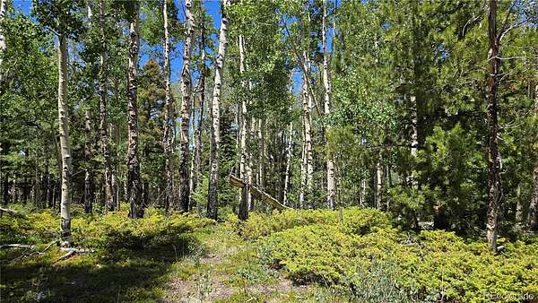 5.47 Acres of Residential Land for Sale in San Luis, Colorado