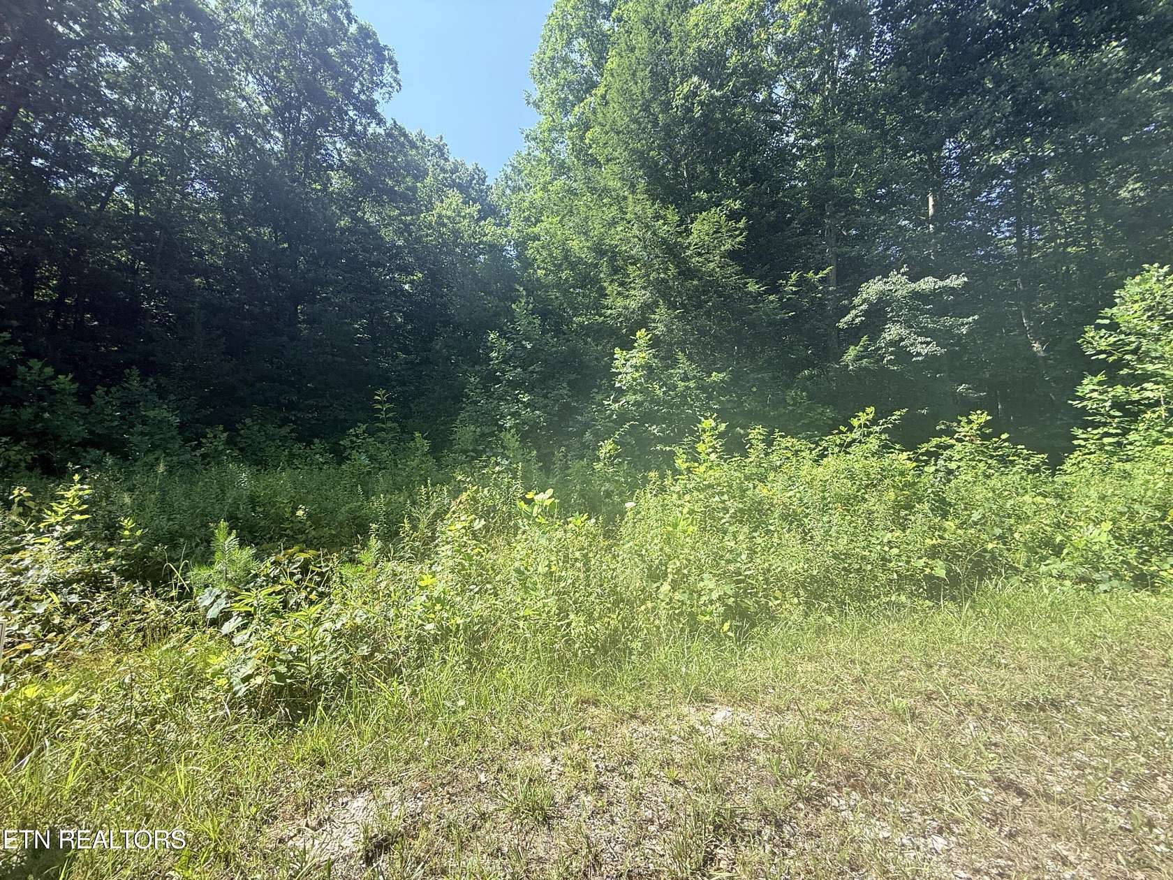 0.87 Acres of Residential Land for Sale in Jamestown, Tennessee
