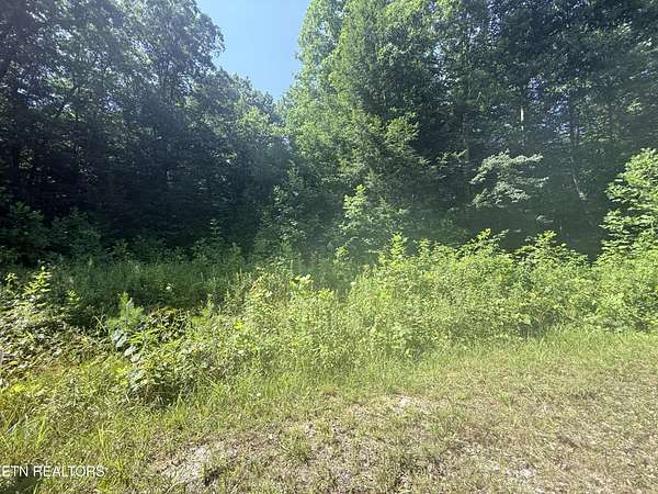 0.87 Acres of Residential Land for Sale in Jamestown, Tennessee