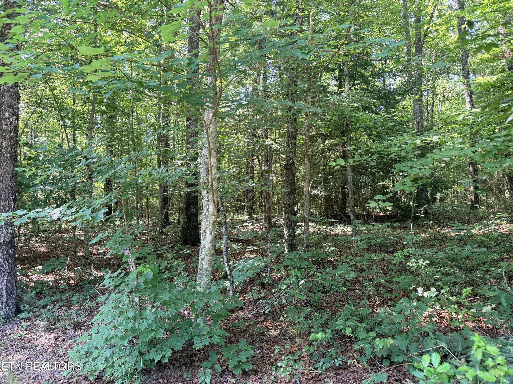 1.2 Acres of Residential Land for Sale in Jamestown, Tennessee