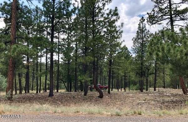 1.38 Acres of Land for Sale in Happy Jack, Arizona