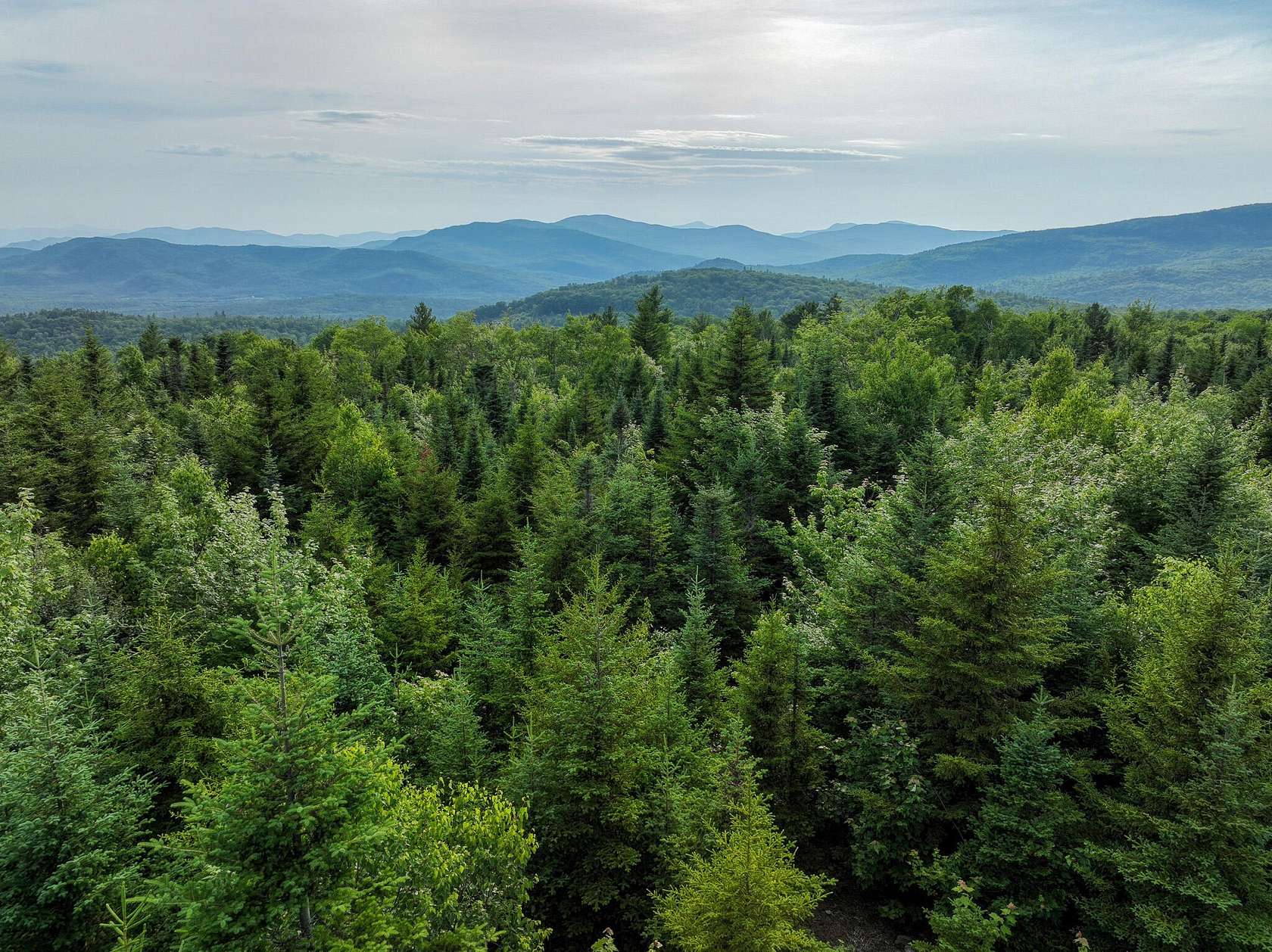 43 Acres of Recreational Land for Sale in Rumford, Maine