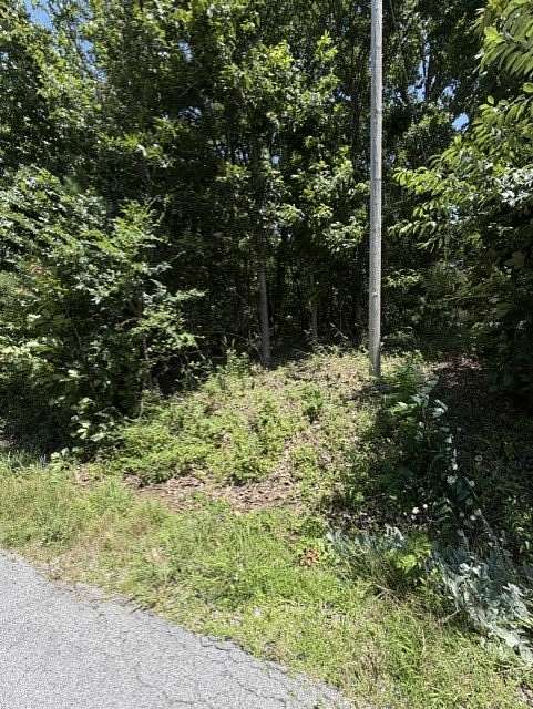 0.31 Acres of Residential Land for Sale in Bella Vista, Arkansas