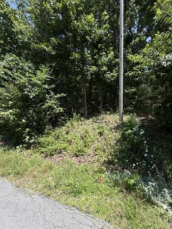 0.31 Acres of Residential Land for Sale in Bella Vista, Arkansas