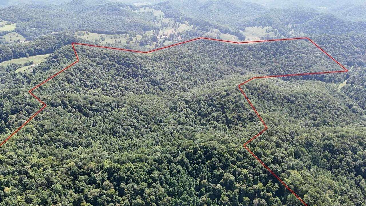 386 Acres of Land for Sale in Frametown, West Virginia