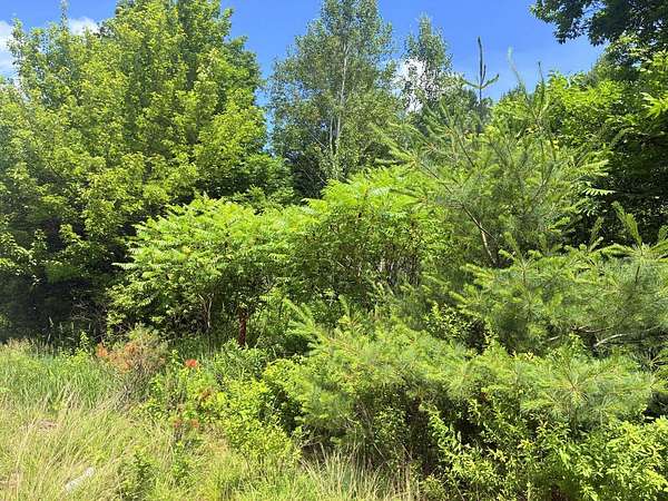 5.18 Acres of Land for Sale in Peru, Maine