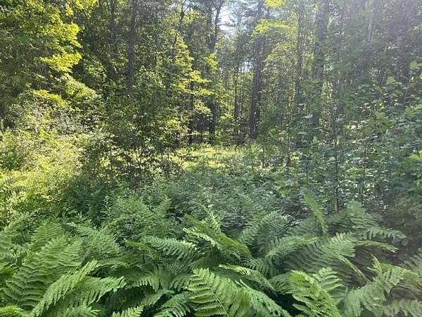 4.2 Acres of Residential Land for Sale in Plainfield, New Hampshire