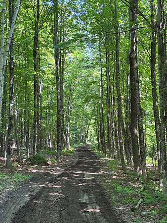 51 Acres of Recreational & Residential Land for Sale in New Sharon, Maine