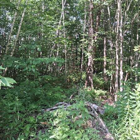 16.6 Acres of Land for Sale in Westfield, Vermont