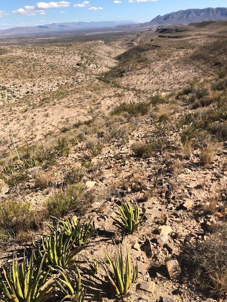 20 Acres of Land for Sale in Terlingua, Texas