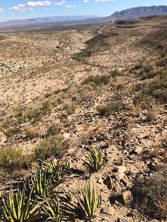20 Acres of Land for Sale in Terlingua, Texas
