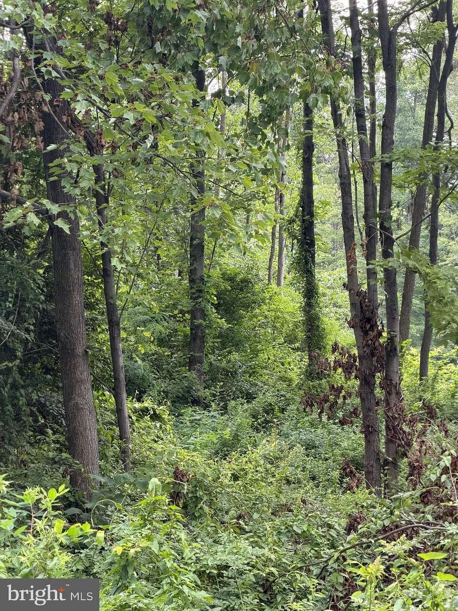 54.5 Acres of Land for Sale in Ickesburg, Pennsylvania