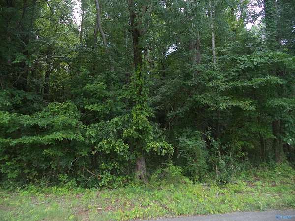 1 Acre of Land for Sale in Hazel Green, Alabama