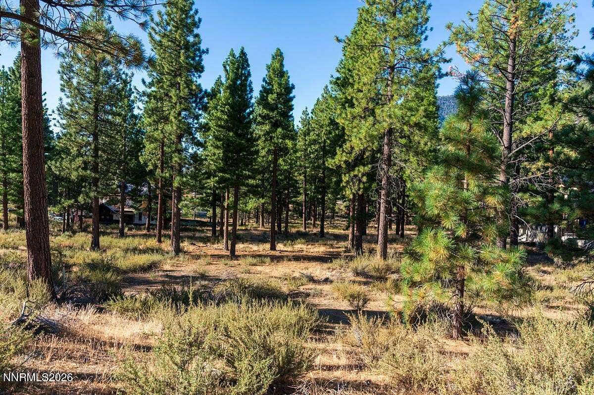 0.83 Acres of Land for Sale in Carson City, Nevada
