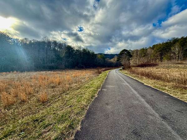 63.2 Acres of Land for Sale in Turtletown, Tennessee