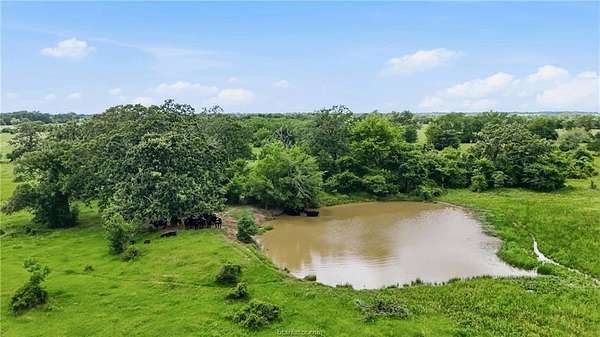 14 Acres of Land for Sale in Franklin, Texas