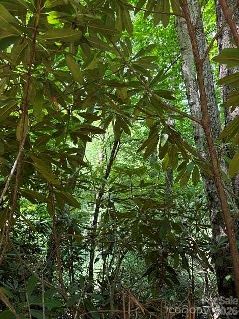 2.18 Acres of Residential Land for Sale in Black Mountain, North Carolina