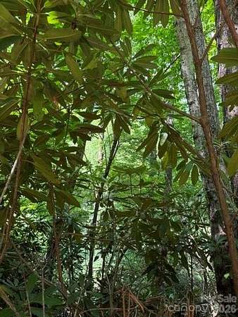 2.18 Acres of Residential Land for Sale in Black Mountain, North Carolina