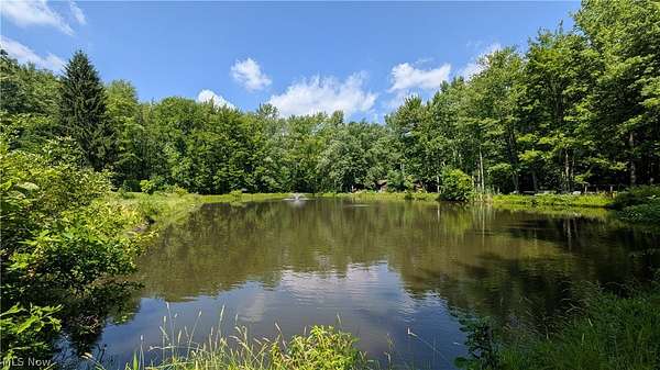 29.4 Acres of Recreational Land with Home for Sale in Thompson, Ohio