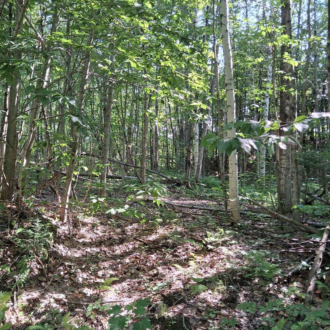 7.44 Acres of Residential Land for Sale in Westfield, Vermont