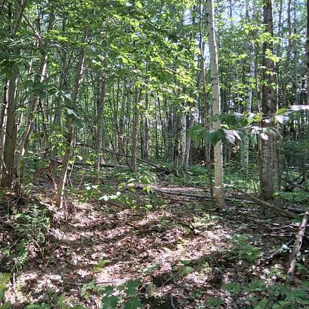 7.44 Acres of Residential Land for Sale in Westfield, Vermont