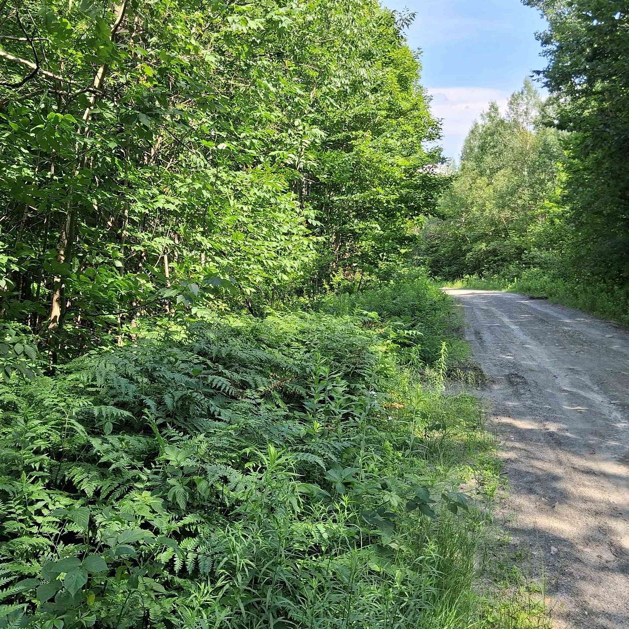 5.52 Acres of Residential Land for Sale in Westfield, Vermont
