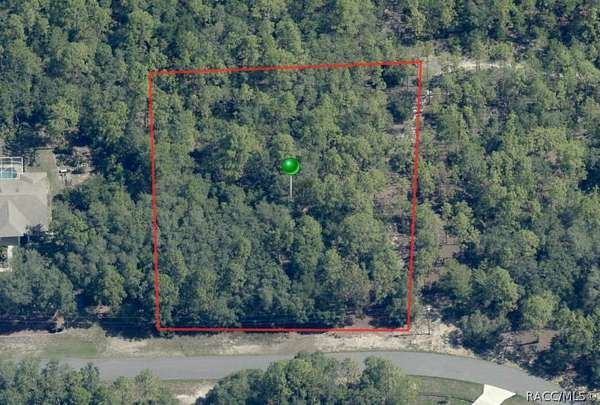 1 Acre of Residential Land for Sale in Beverly Hills, Florida
