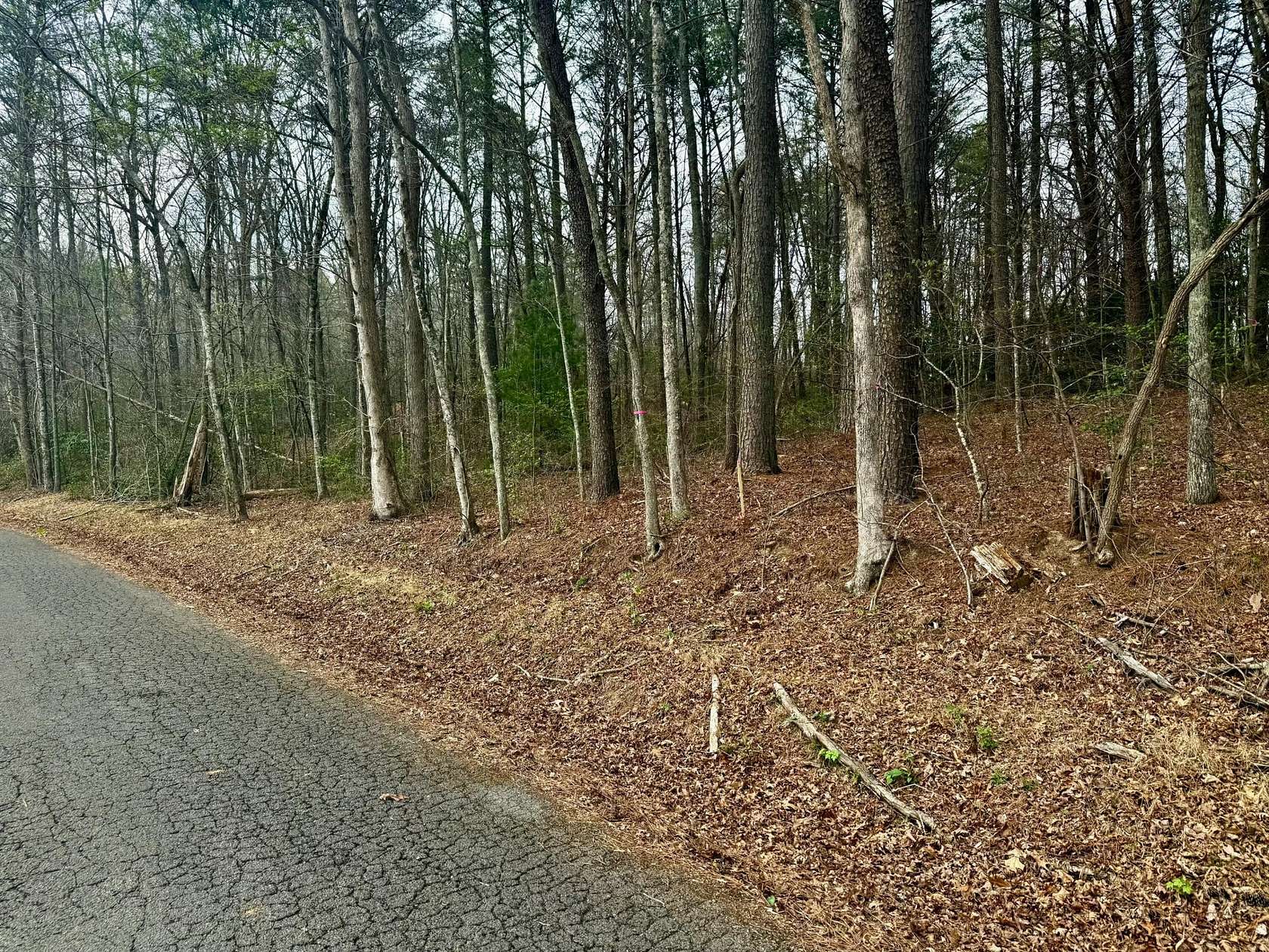 1.2 Acres of Residential Land for Sale in Turtletown, Tennessee