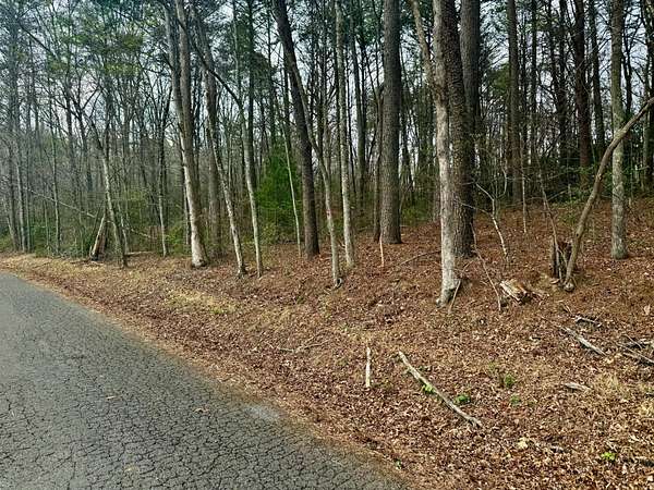 1.2 Acres of Residential Land for Sale in Turtletown, Tennessee