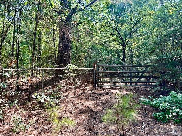 11.8 Acres of Recreational & Residential Land for Sale in Atlanta, Texas