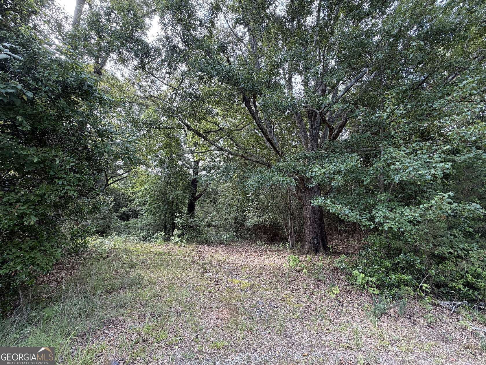 1 Acre of Residential Land for Sale in Buckhead, Georgia