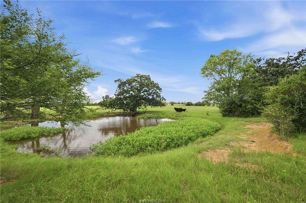 15.3 Acres of Land for Sale in Franklin, Texas