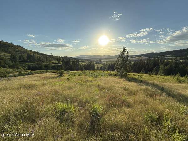 12.6 Acres of Recreational & Residential Land for Sale in Plummer, Idaho