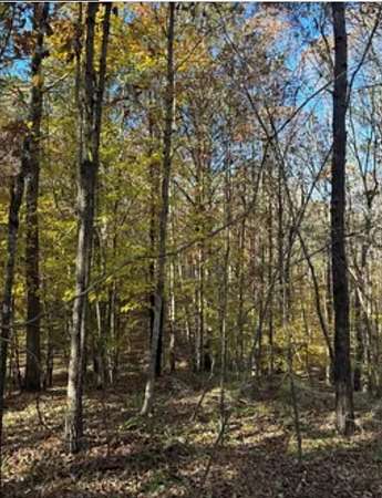 0.88 Acres of Residential Land for Sale in Oxford, Mississippi