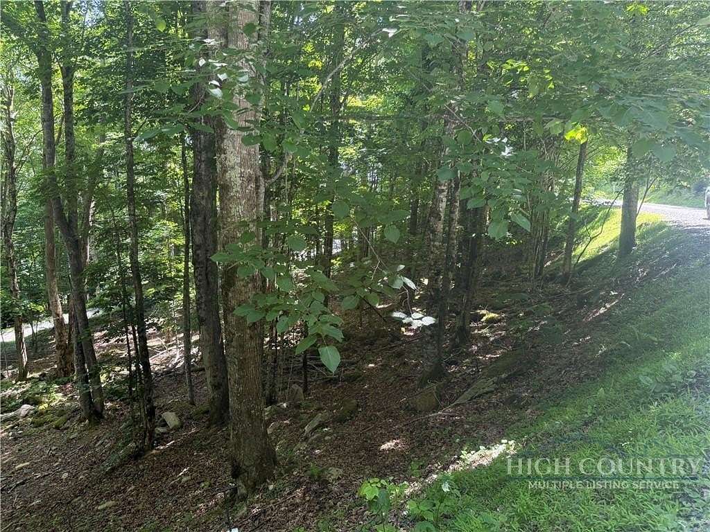 0.53 Acres of Residential Land for Sale in Beech Mountain, North Carolina