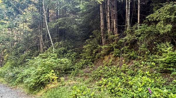 7.57 Acres of Land for Sale in Waldport, Oregon