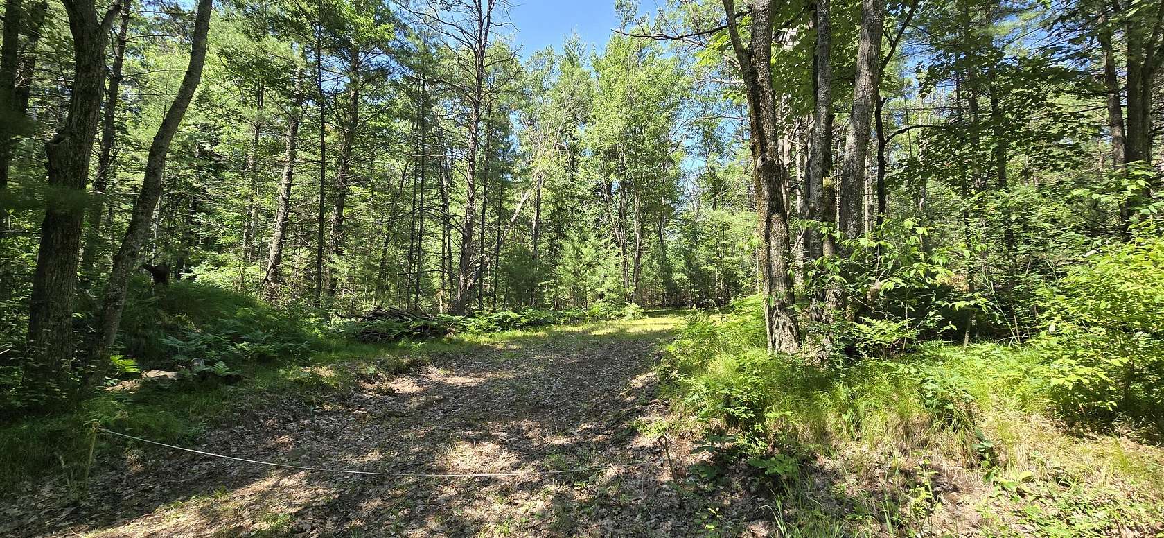 5 Acres of Land for Sale in Roscommon, Michigan