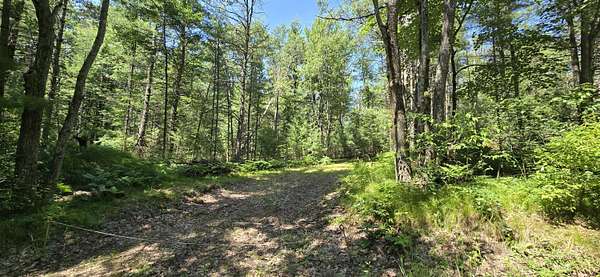 5 Acres of Land for Sale in Roscommon, Michigan