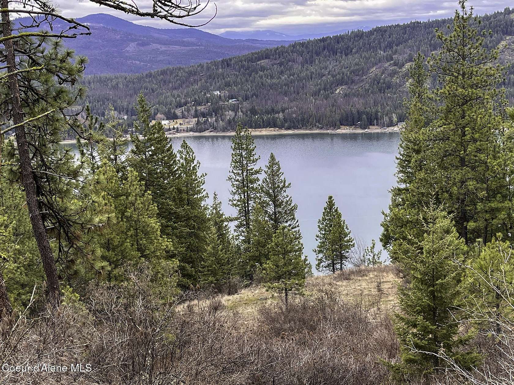 17.8 Acres of Land for Sale in Priest River, Idaho