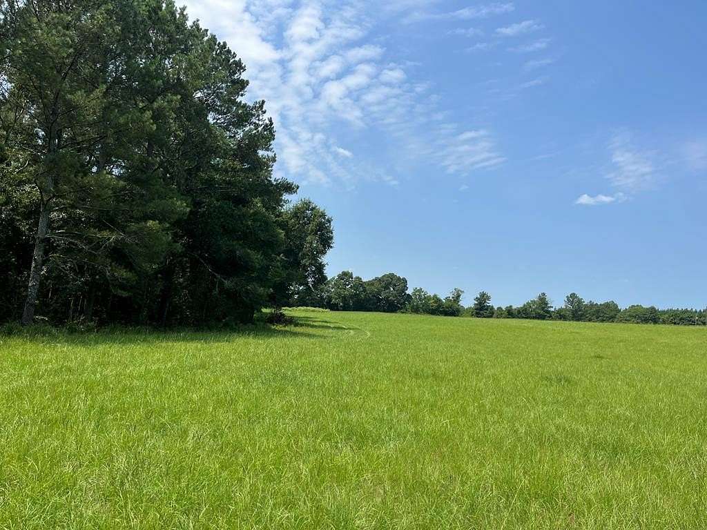 19.5 Acres of Land for Sale in Headland, Alabama