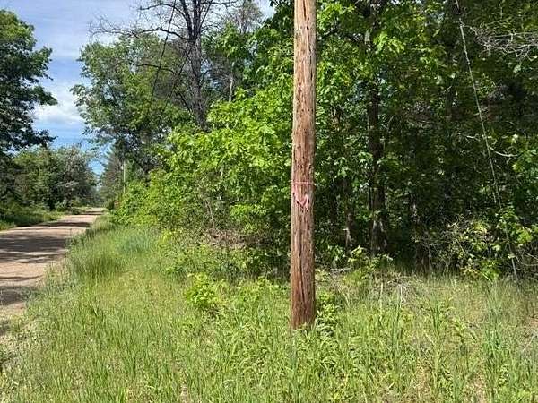 0.48 Acres of Land for Sale in Baldwin, Michigan